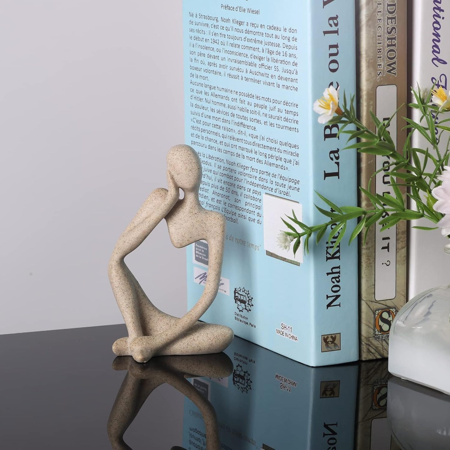 Decorative statue on a reflective surface with books and a plant in the background