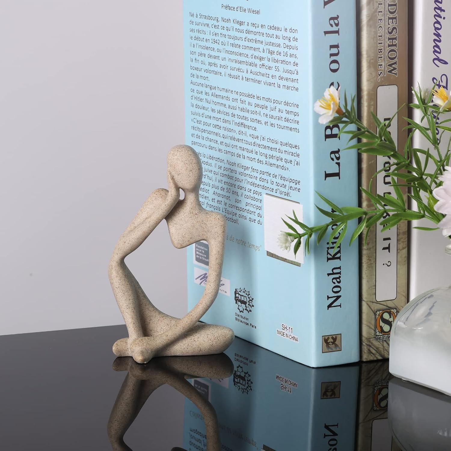 Decorative statue on a reflective surface with books and a plant in the background