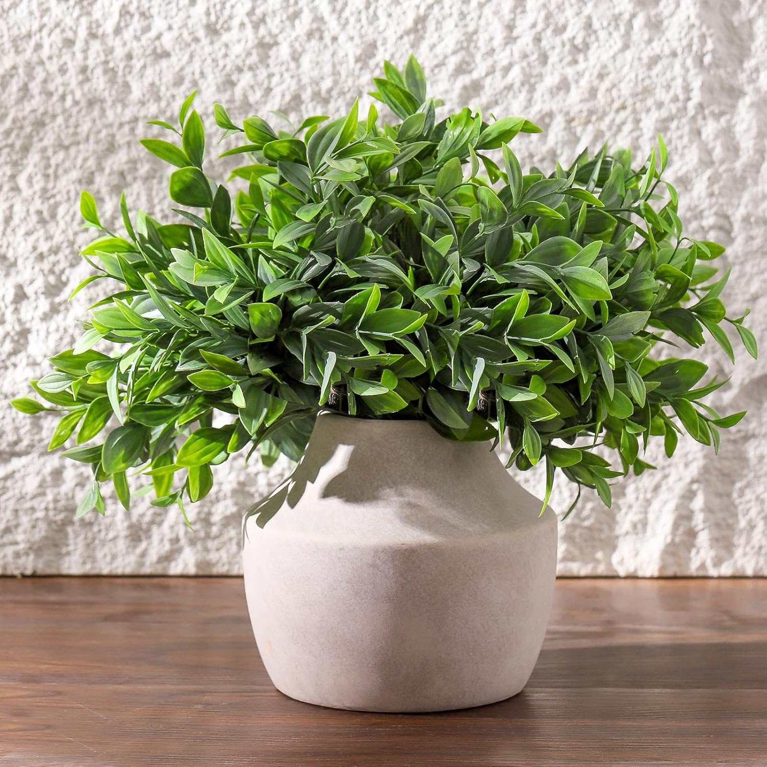 Green potted plant on a wooden surface with a textured white wall background