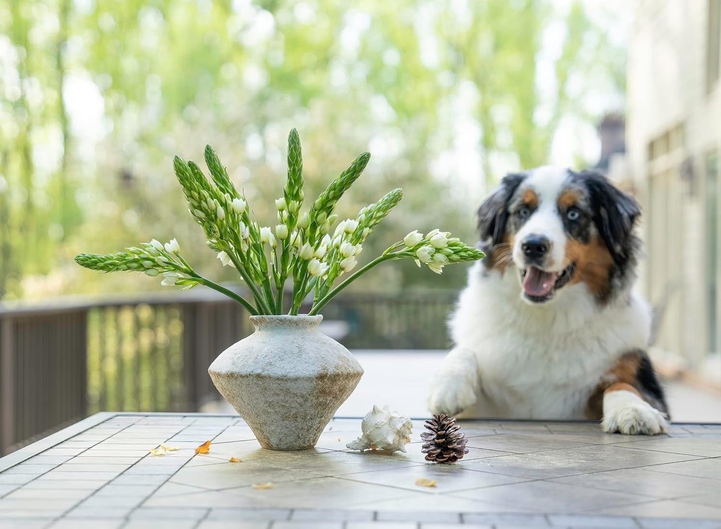 Handmade Rustic Terracotta Vase
