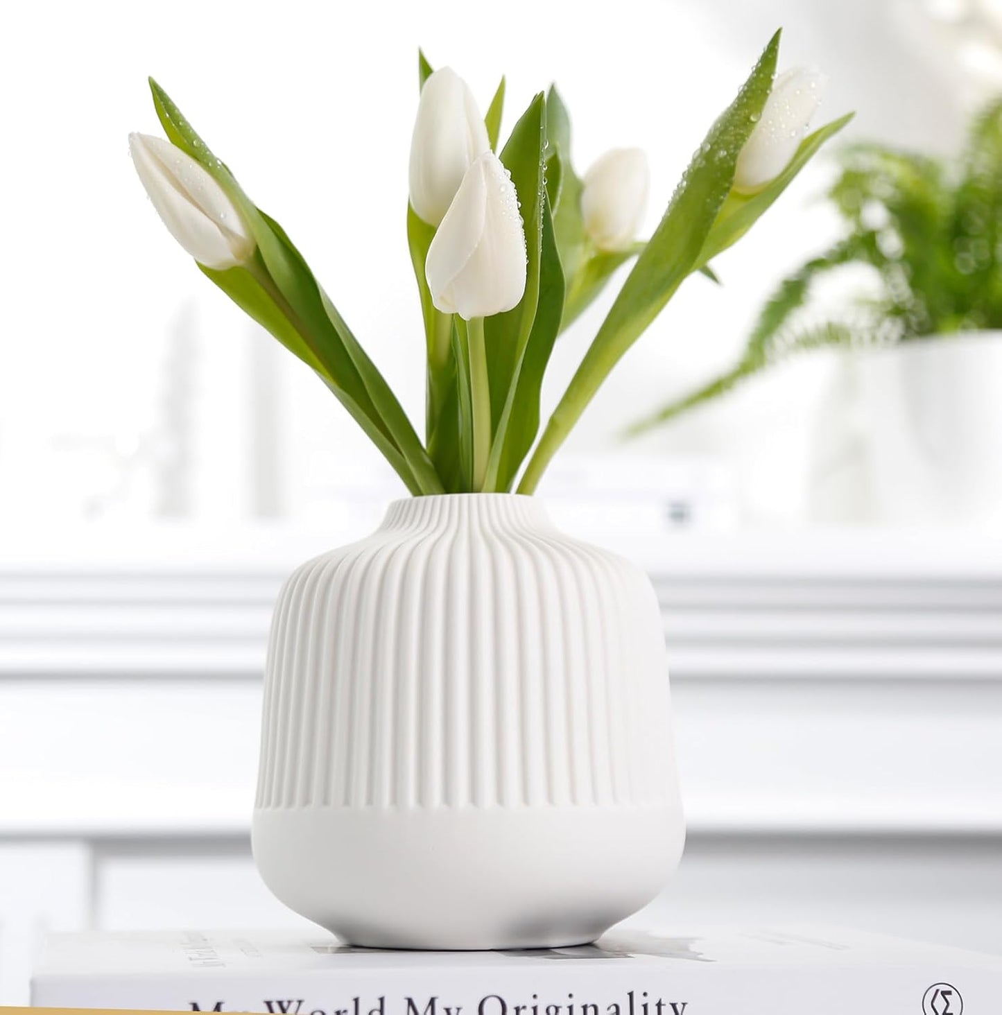 Matte White Boho Stripe Vase Set