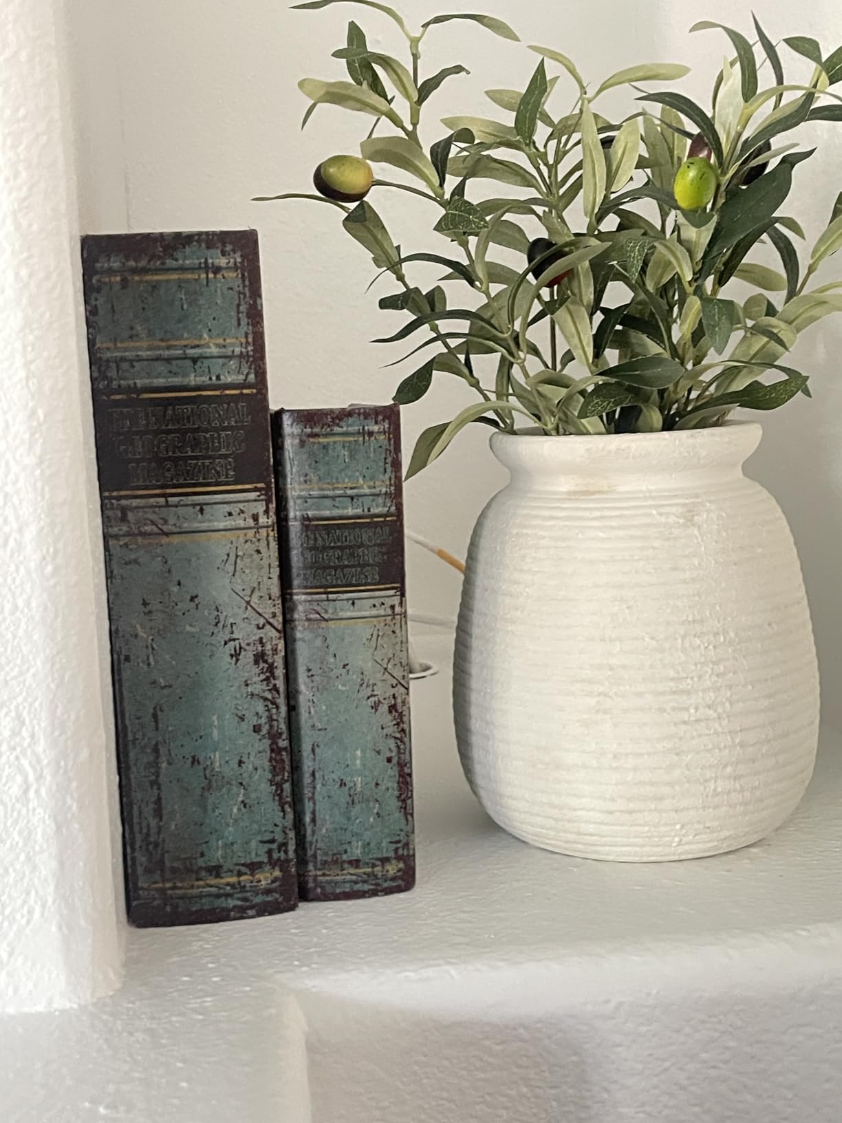 White vase with green plant and decorative books on a white surface